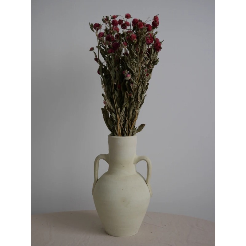 Gomphrena séché mauve décoration