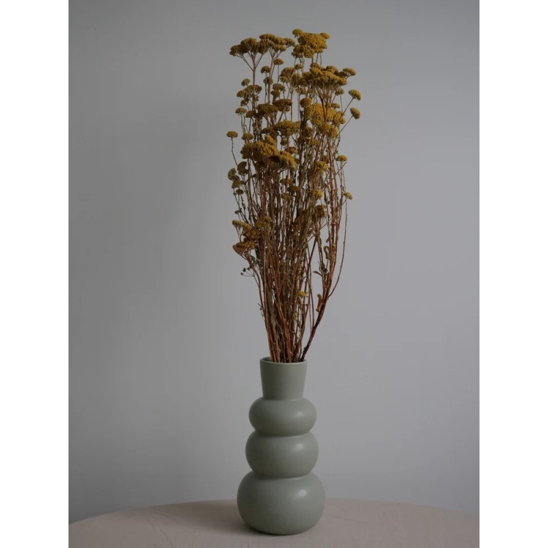 Achilea stabilisée jaune décoration d'intérieur