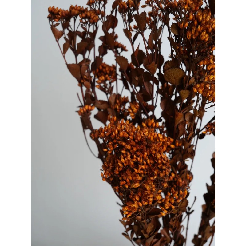 Chuvisco stabilisé orange détails
