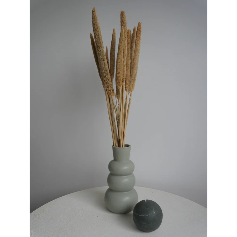 babala stabilisé naturel