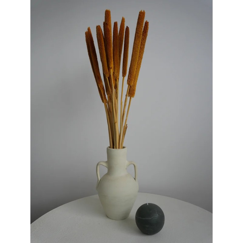 babala stabilisé orange décoration vase