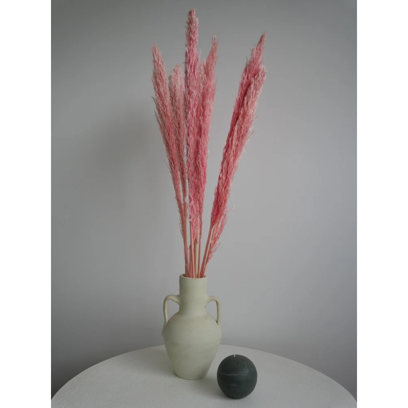 Plumero Silvestre Stabilisé rose décoration