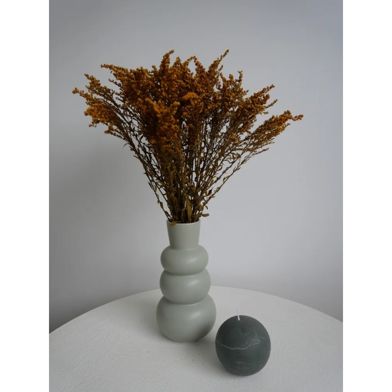 Solidago Stabilisé jaune