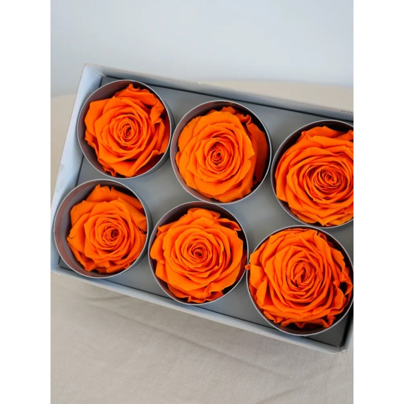 rose stabilisée orange boite