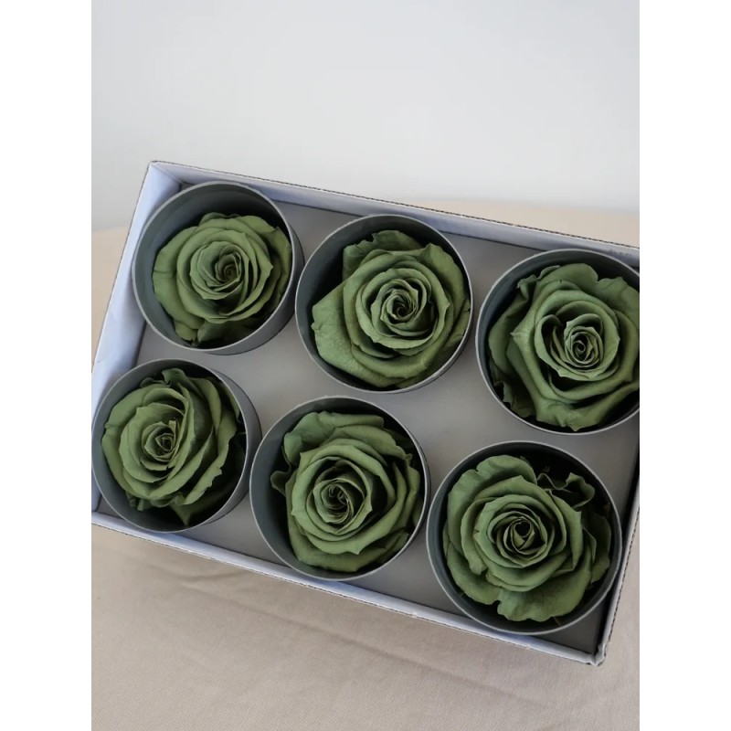 rose stabilisée vert thé