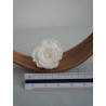 rose stabilisée blanche