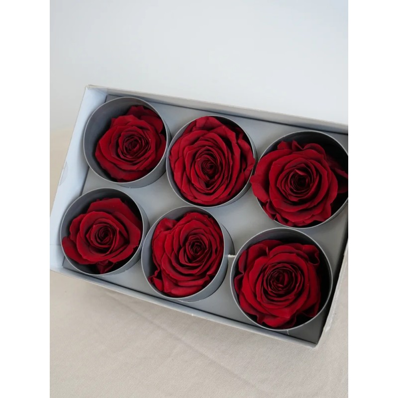 Rose stabilisée burgundy boite