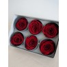 Rose stabilisée burgundy boite