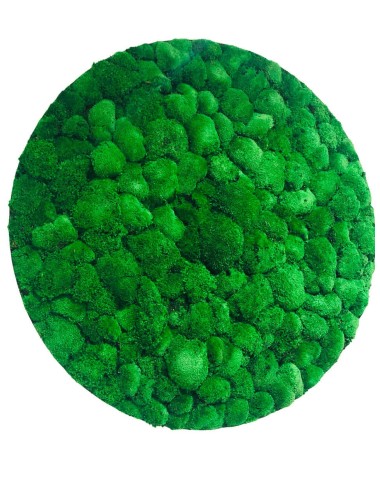 Tableau rond en mousses boules vertes