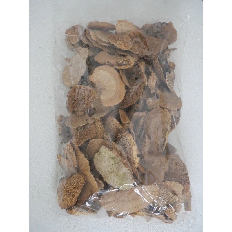 Champignons éponges naturels stabilisés petits sachet