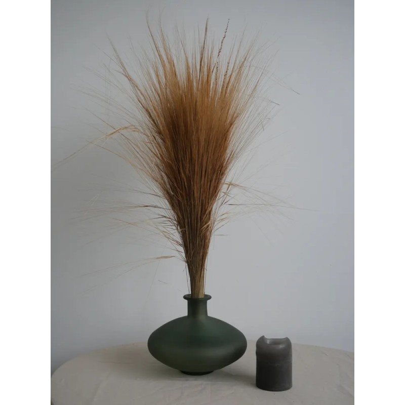 Barba stabilisé naturelle  décoration intérieure