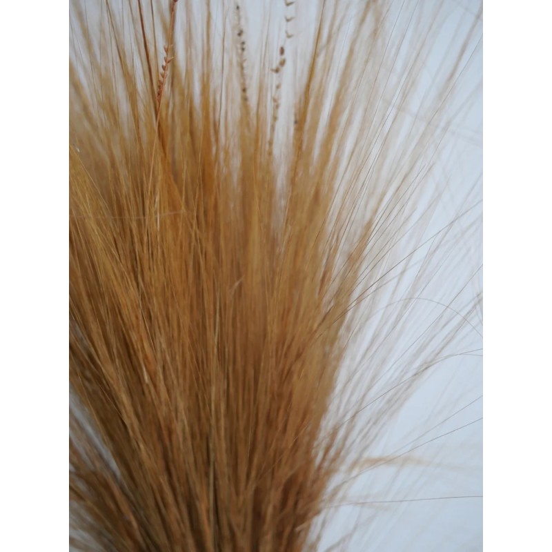 Barba stabilisé naturelle