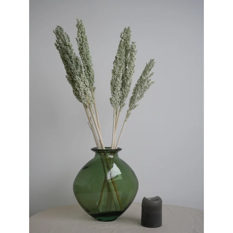 Sorghum Stabilisé vert