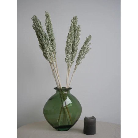 Sorghum Stabilisé vert