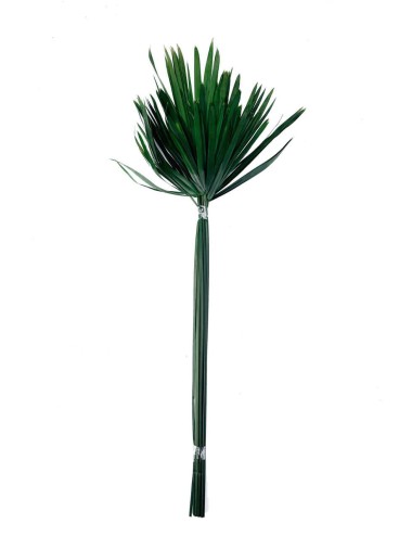 Papyrus vert stabilisé
