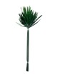 Papyrus vert stabilisé
