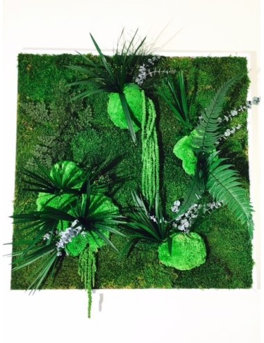 Tableau végétal avec végétaux verts
