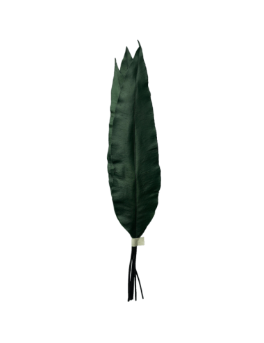 Tropical leaf stabilisée verte