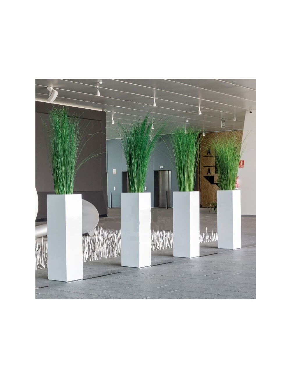 Oriental Ginerium vert