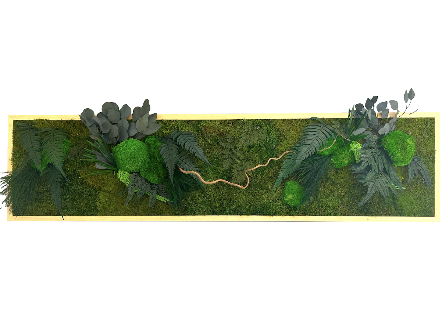 Mango Charm | Tableau végétal orné d’une fleur éternelle